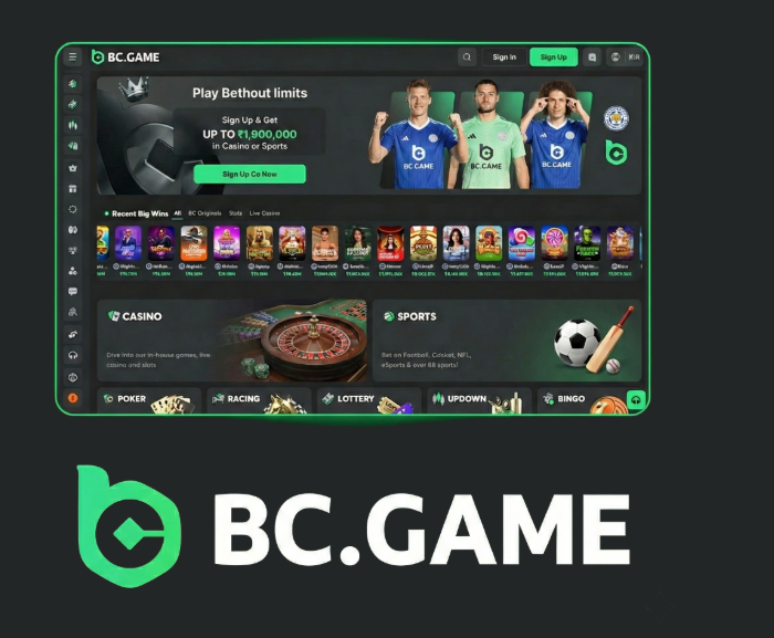 Experience the Thrill of Gaming with BC.Game App